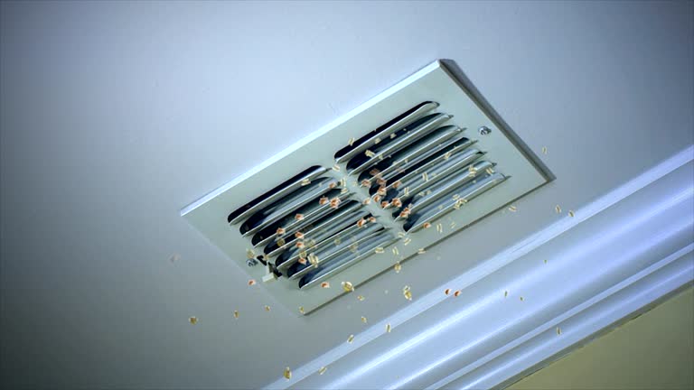 Air Duct Mold Removal in Milan, MI