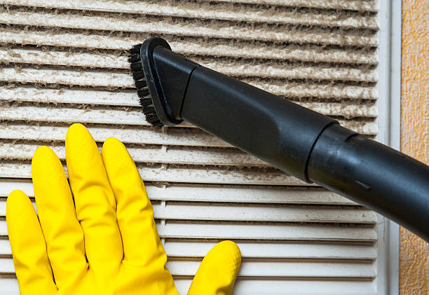 Best HVAC Duct Inspection Services  in Lan, MI